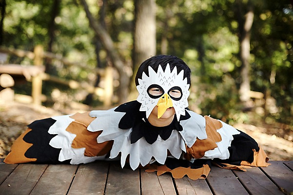 포토 JPG 주간 남자 어린이라이프 어린이 장난 조류 한명 앉기 상반신 야외 앞모습 분장 귀여움 한국인 숲속 역할놀이 코스프레 소년한명만 국내포토 자연요소 동물 1 라이프스타일 뷰포인트 컨셉 모션 놀이 사람 동양인 숲 남자한명만 소년만 파일형식