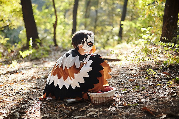 포토 JPG 주간 전신 남자 어린이라이프 어린이 조류 한명 앉기 야외 옆모습 분장 귀여움 한국인 사과 숲속 빨간망토 사과바구니 역할놀이 코스프레 소년한명만 국내포토 자연요소 동물 1 라이프스타일 뷰포인트 컨셉 과일 모션 놀이 사람 동양인 바구니 숲 망토 남자한명만 소년만 파일형식