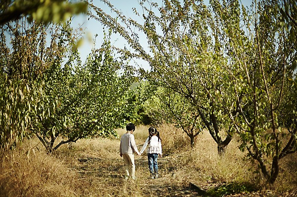 포토 JPG 주간 전신 나무 여자 남자 어린이라이프 어린이 야외 두명 뒷모습 걷기 손잡기 다정 한국인 짝꿍 숲길 어린이만 국내포토 자연요소 식물 라이프스타일 길 뷰포인트 컨셉 모션 사람 동양인 친구 파일형식