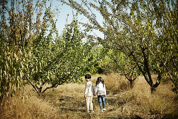포토 JPG 주간 전신 나무 여자 남자 어린이라이프 어린이 야외 두명 뒷모습 걷기 손잡기 다정 한국인 짝꿍 뒤돌아보기 숲길 어린이만 국내포토 자연요소 식물 라이프스타일 길 뷰포인트 컨셉 모션 사람 동양인 친구 파일형식