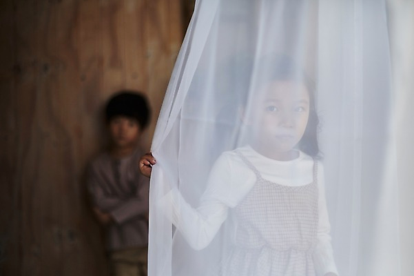 포토 JPG 여자 남자 어린이라이프 어린이 실내 서기 상반신 두명 앞모습 아웃포커스 귀여움 한국인 가림 커튼 짝꿍 어린이만 국내포토 라이프스타일 뷰포인트 컨셉 모션 촬영기법 사람 동양인 내부 친구 파일형식 관계 인종 생활