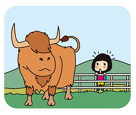 전신 여자 유럽 해외여행 여행 일러스트 한명 서기 초원 성인 울타리 놀람 소 스코틀랜드 국내일러스트 AI파일 1 해외 감정 나라 포유류 모션 영국 표정 사람 담장 파일형식 벡터