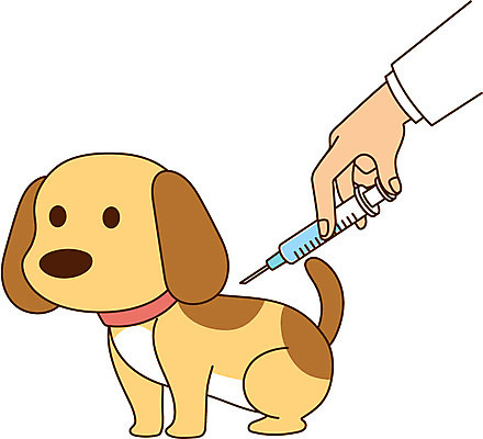 한마리 손 일러스트 주사기 신체부위 강아지 질병 예방 반려 예방접종 국내일러스트 AI파일 1 의학 의료기기 사람 반려동물 개 접종 파일형식 벡터