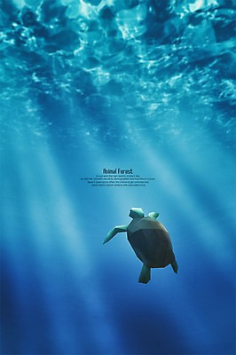 PSD 동물 편집이미지 한마리 바다 사람없음 3D 바닷속 거북이 디지털합성 폴리곤 편집3D 1 파충류 수중 파일형식