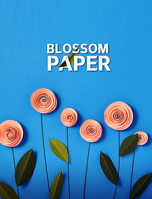 PSD 편집이미지 꽃 사람없음 페이퍼아트 종이꽃 이미지편집 식물 파일형식