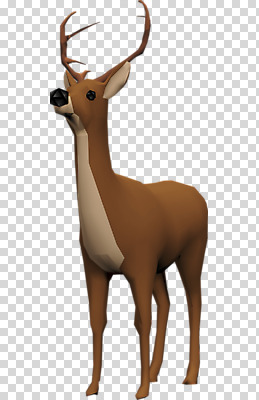 동물 편집이미지 한마리 사슴 사람없음 3D소스 3D 입체 디지털합성 PNG 편집소스 1 포유류 파일형식