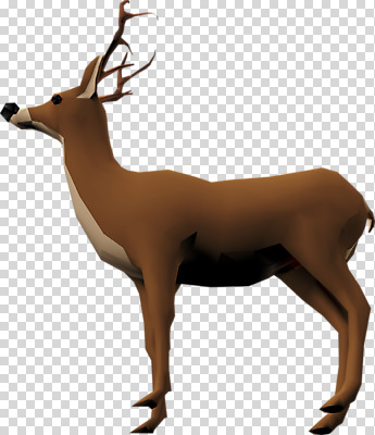 동물 편집이미지 한마리 사슴 사람없음 3D소스 3D 입체 디지털합성 PNG 편집소스 1 포유류 파일형식