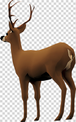 동물 편집이미지 한마리 사슴 사람없음 3D소스 3D 입체 디지털합성 PNG 편집소스 1 포유류 파일형식