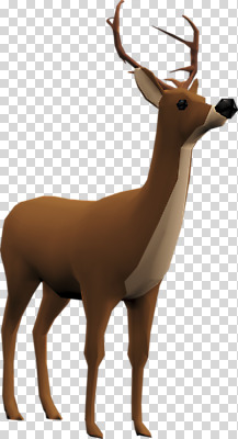 동물 편집이미지 한마리 사슴 사람없음 3D소스 3D 입체 디지털합성 PNG 편집소스 1 포유류 파일형식
