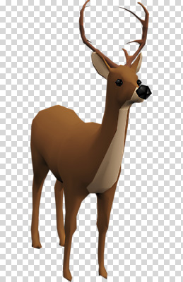 동물 편집이미지 한마리 사슴 사람없음 3D소스 3D 입체 디지털합성 PNG 편집소스 1 포유류 파일형식
