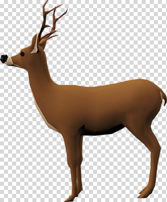 동물 편집이미지 한마리 사슴 사람없음 3D소스 3D 입체 디지털합성 PNG 편집소스 1 포유류 파일형식