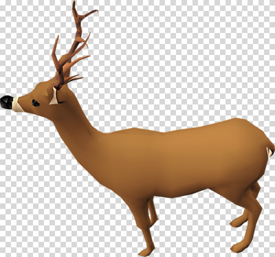 동물 편집이미지 한마리 사슴 사람없음 3D소스 3D 입체 디지털합성 PNG 편집소스 1 포유류 파일형식