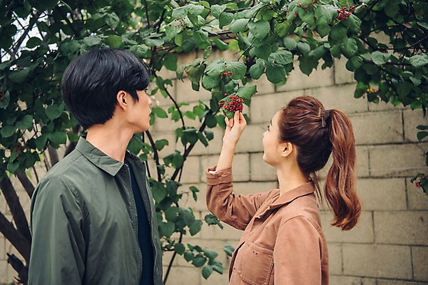 포토 JPG 주간 나무 커플 여자 열매 남자 커플라이프 데이트 서기 상반신 20대 성인 야외 두명 옆모습 아웃포커스 한국인 성인만 국내포토 자연요소 식물 라이프스타일 뷰포인트 관계 모션 촬영기법 사람 동양인 청년 파일형식