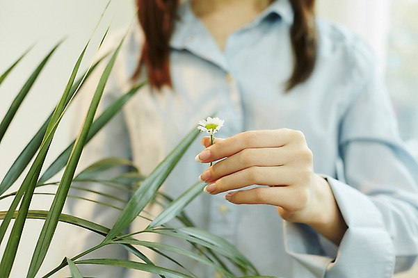 포토 JPG 손 꽃 나뭇잎 실내 들기 20대 앞모습 아웃포커스 신체부위 뷰티 한국인 손톱관리 네일아트 젤네일 국내포토 식물 뷰포인트 잎 모션 촬영기법 사람 동양인 청년 내부 파일형식