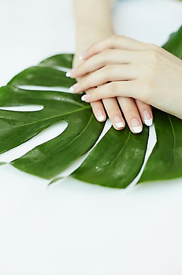 포토 JPG 손 나뭇잎 실내 20대 신체부위 뷰티 한국인 손톱관리 네일아트 손모으기 젤네일 국내포토 잎 사람 동양인 손짓 청년 내부 파일형식