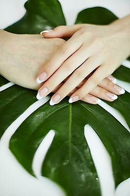 포토 JPG 손 나뭇잎 실내 20대 신체부위 뷰티 한국인 손톱관리 네일아트 손모으기 젤네일 국내포토 잎 사람 동양인 손짓 청년 내부 파일형식