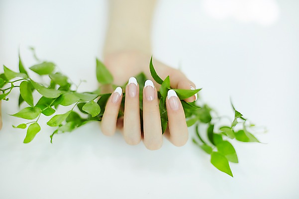 포토 JPG 손 나뭇잎 실내 20대 신체부위 뷰티 한국인 잡기 손톱관리 네일아트 젤네일 국내포토 잎 모션 사람 동양인 청년 내부 파일형식