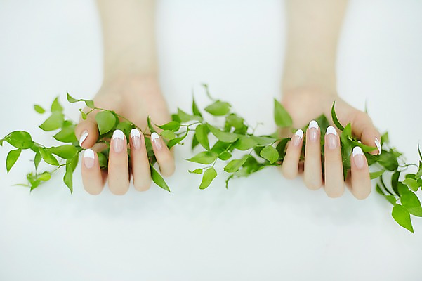 포토 JPG 손 나뭇잎 실내 20대 신체부위 뷰티 한국인 잡기 손톱관리 네일아트 손모으기 젤네일 국내포토 잎 모션 사람 동양인 손짓 청년 내부 파일형식