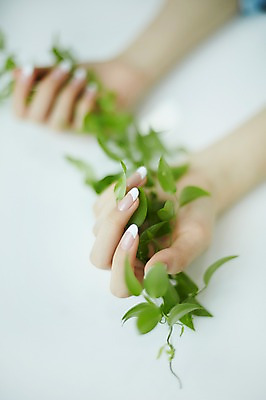 포토 JPG 손 나뭇잎 실내 20대 아웃포커스 신체부위 뷰티 한국인 잡기 손톱관리 네일아트 손모으기 젤네일 국내포토 잎 모션 촬영기법 사람 동양인 손짓 청년 내부 파일형식