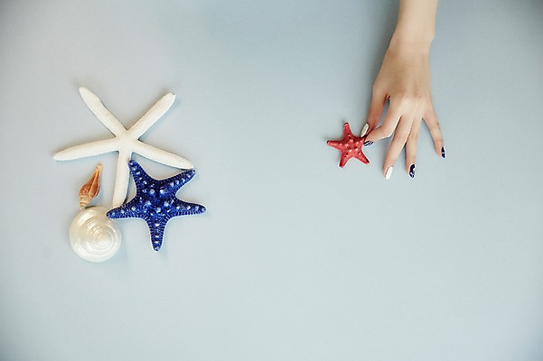 포토 JPG 스튜디오촬영 손 조개 불가사리 실내 20대 신체부위 뷰티 한국인 잡기 손톱관리 네일아트 젤네일 국내포토 모션 어패류 극피동물 사람 동양인 청년 내부 파일형식