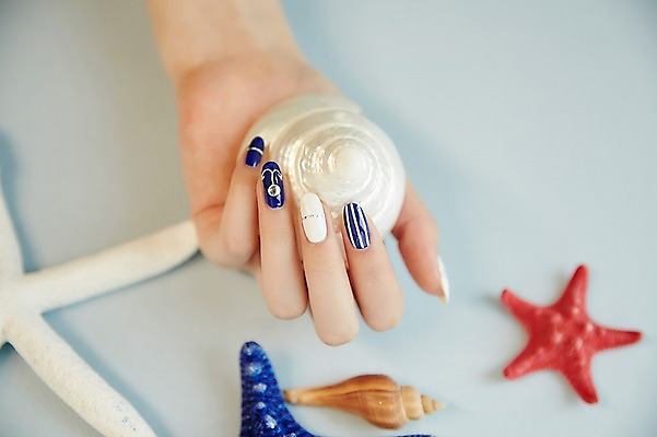 포토 JPG 스튜디오촬영 손 조개 불가사리 실내 20대 신체부위 뷰티 한국인 잡기 손톱관리 네일아트 젤네일 국내포토 모션 어패류 극피동물 사람 동양인 청년 내부 파일형식