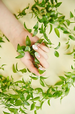 포토 JPG 스튜디오촬영 손 나뭇잎 실내 20대 신체부위 뷰티 한국인 잡기 손톱관리 네일아트 젤네일 국내포토 잎 모션 사람 동양인 청년 내부 파일형식