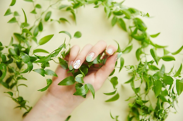 포토 JPG 스튜디오촬영 손 나뭇잎 실내 20대 신체부위 뷰티 한국인 잡기 손톱관리 네일아트 젤네일 국내포토 잎 모션 사람 동양인 청년 내부 파일형식