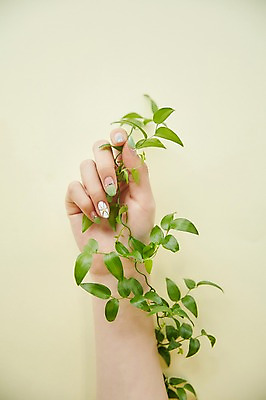 포토 JPG 스튜디오촬영 손 나뭇잎 실내 20대 신체부위 뷰티 한국인 잡기 손톱관리 네일아트 젤네일 국내포토 잎 모션 사람 동양인 청년 내부 파일형식