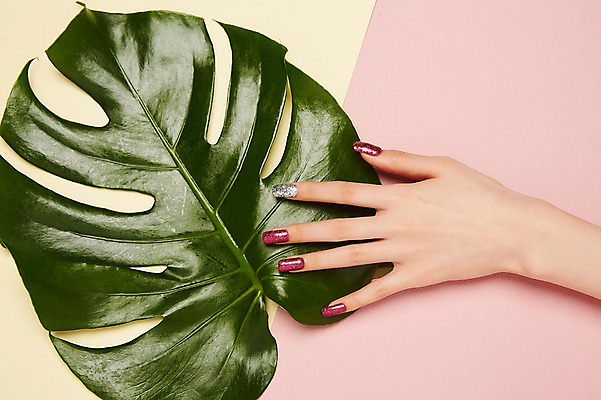 포토 JPG 스튜디오촬영 손 나뭇잎 실내 20대 신체부위 뷰티 한국인 손톱관리 네일아트 젤네일 국내포토 잎 사람 동양인 청년 내부 파일형식