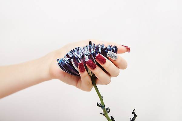 포토 JPG 스튜디오촬영 손 꽃 실내 들기 20대 신체부위 뷰티 한국인 손톱관리 네일아트 젤네일 국내포토 식물 모션 사람 동양인 청년 내부 파일형식