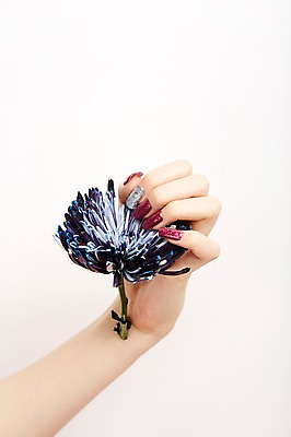 포토 JPG 스튜디오촬영 손 꽃 실내 들기 20대 신체부위 뷰티 한국인 손톱관리 네일아트 젤네일 국내포토 식물 모션 사람 동양인 청년 내부 파일형식