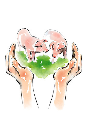 PSD 동물 손 두마리 일러스트 캘리그라피 한명 잔디 신체부위 가축 양손 돼지 손모으기 국내일러스트 식물 1 2 포유류 사람 손짓 파일형식