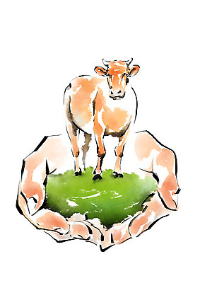 PSD 동물 한마리 손 일러스트 캘리그라피 한명 잔디 신체부위 가축 양손 소 손모으기 국내일러스트 식물 1 포유류 사람 손짓 파일형식