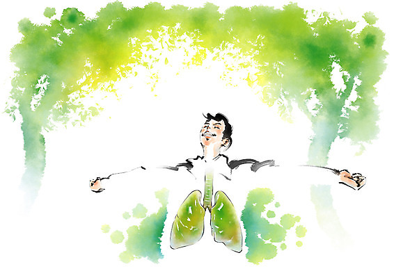 PSD 나무 남자 일러스트 캘리그라피 팔벌리기 건강 한명 상반신 성인 운동 건강관리 허파 질병 숲 상쾌 국내일러스트 식물 1 감정 의학 모션 관리 사람 호흡기관 파일형식