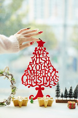 포토 JPG 나무 손 크리스마스장식 크리스마스 크리스마스용품 실내 아웃포커스 신체부위 크리스마스트리 오브젝트 국내포토 식물 기념일 촬영기법 사람 내부 용품 파일형식