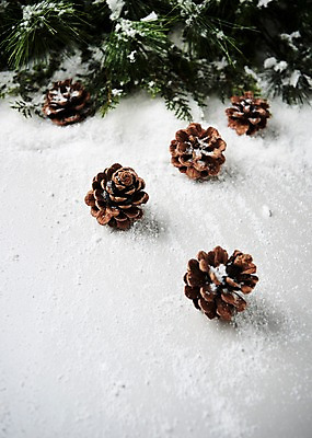 포토 JPG 스튜디오촬영 크리스마스 크리스마스용품 나뭇잎 실내 사람없음 눈 오브젝트 솔방울 국내포토 자연요소 기념일 잎 날씨 내부 용품 파일형식