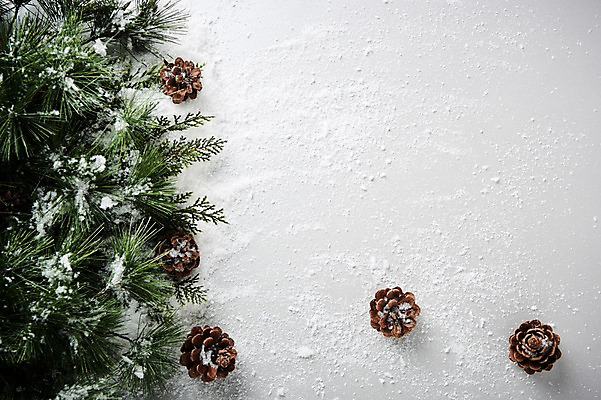 포토 JPG 스튜디오촬영 크리스마스 크리스마스용품 프레임 실내 사람없음 눈 오브젝트 솔방울 전나무 국내포토 자연요소 나무 기념일 날씨 내부 용품 파일형식