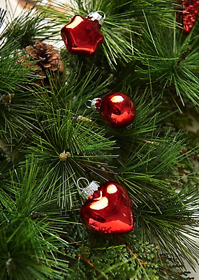 포토 JPG 스튜디오촬영 나무 크리스마스장식 크리스마스 크리스마스용품 실내 근접촬영 사람없음 장식볼 오브젝트 솔방울 국내포토 식물 기념일 뷰포인트 내부 장식 용품 파일형식