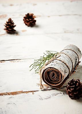 포토 JPG 스튜디오촬영 크리스마스 크리스마스용품 나뭇잎 실내 사람없음 아웃포커스 껍질 오브젝트 솔방울 나무배경 국내포토 기념일 백그라운드 잎 촬영기법 내부 용품 파일형식