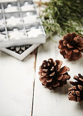 포토 JPG 스튜디오촬영 별 크리스마스 크리스마스용품 나뭇잎 실내 사람없음 아웃포커스 오브젝트 솔방울 나무배경 국내포토 자연요소 기념일 백그라운드 잎 촬영기법 내부 용품 파일형식