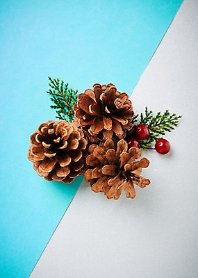 포토 JPG 스튜디오촬영 열매 크리스마스 크리스마스용품 나뭇잎 실내 사람없음 오브젝트 솔방울 국내포토 식물 기념일 잎 내부 용품 파일형식