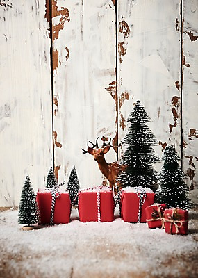 포토 JPG 스튜디오촬영 나무 크리스마스 크리스마스용품 사슴 실내 사람없음 선물상자 크리스마스트리 눈 오브젝트 나무바닥 국내포토 자연요소 식물 기념일 포유류 날씨 바닥 선물 내부 상자 용품 파일형식