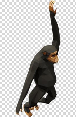 동물 편집이미지 한마리 사람없음 3D소스 3D 입체 디지털합성 PNG 침팬지 폴리곤 로우폴리 편집소스 1 포유류 파일형식