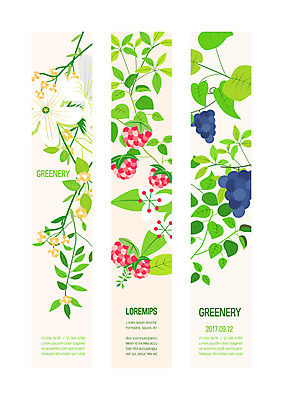 식물 템플릿 배너템플릿 꽃 세로배너 포도 사각프레임 사람없음 사각형 현수막 배너세트 AI파일 도형 배너 과일 프레임 세로 세트 파일형식 벡터