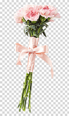 편집 편집이미지 꽃 리본 꽃다발 여러송이 사람없음 카네이션 PNG 연분홍색 편집소스 식물 분홍색 다수 파일형식