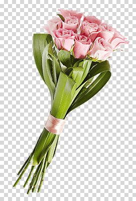 편집 편집이미지 꽃 분홍색 꽃다발 여러송이 사람없음 장미 PNG 편집소스 식물 컬러 다수 파일형식