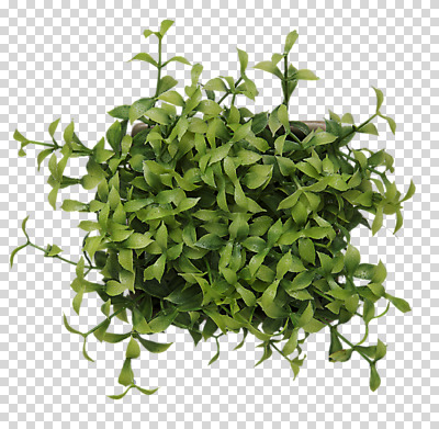 식물 편집 편집이미지 화분 사람없음 장식 모형 오브젝트 PNG 편집소스 파일형식