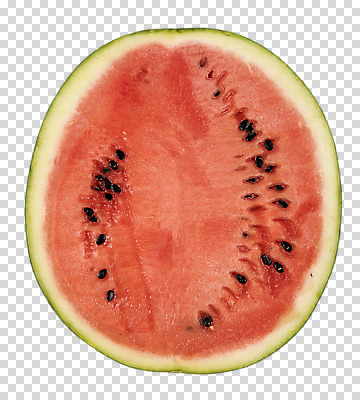편집 편집이미지 과일 단면 수박 사람없음 한개 슬라이스 수박씨 PNG 편집소스 1 씨앗 파일형식