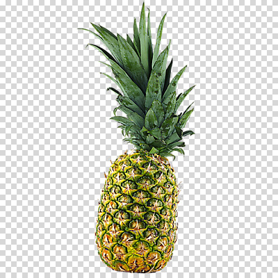 편집 편집이미지 과일 사람없음 파인애플 열대과일 PNG 편집소스 파일형식