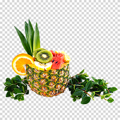편집 편집이미지 잎 오렌지 과일 수박 키위 사람없음 파인애플 열대과일 참외 PNG 줄리아페페 편집소스 식물 파일형식